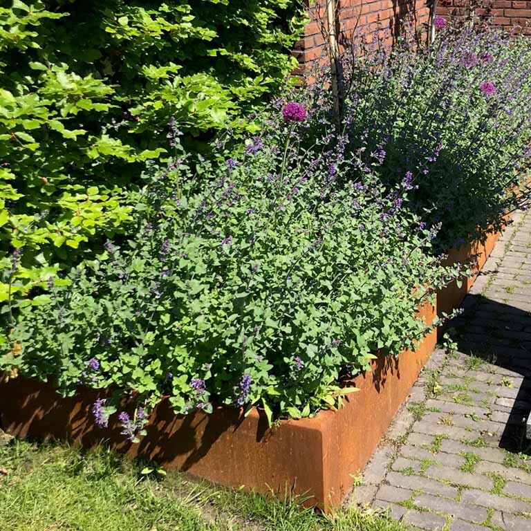 Corteni terasest tugisein sirge 100 cm (kõrgus 50 cm)