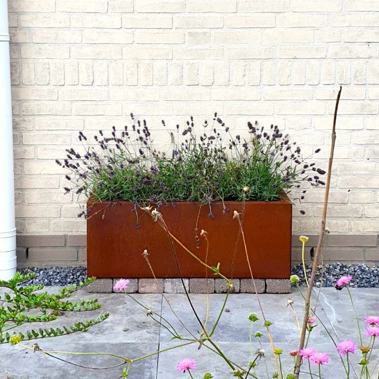 Corteni terasest lillekast Texas 30 x 80 cm