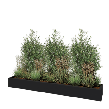 klaaskiudne lillekast - Ristkülikukujuline - 200 x 30 x 20 cm - RAL7021 matt (must hall) - Põhjaga