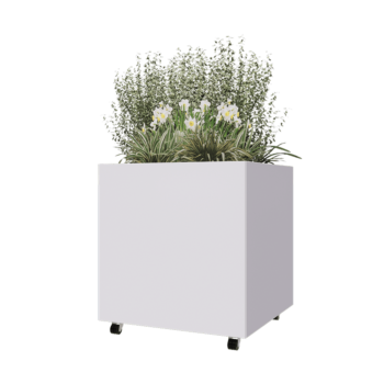 Terasest lillekast - Ruut - 80 x 80 x 80 cm - RAL9010 matt (valge) - Põhjalauaga - Ratastega