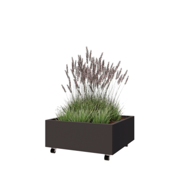 Terasest lillekast - Ruut - 80 x 80 x 30 cm - RAL7016 matt (antratsiithall) - Põhjalauaga - Ratastega