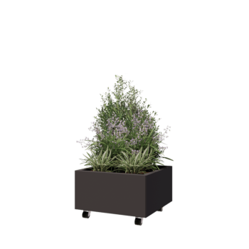 Terasest lillekast - Ruut - 60 x 60 x 30 cm - RAL7016 matt (antratsiithall) - Põhjalauaga - Ratastega