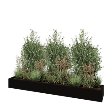 klaaskiudne lillekast - Ristkülikukujuline - 200 x 30 x 20 cm - RAL9005 matt (must) - Põhjaga