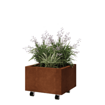 Corten terasest lillekast - Ruut - 50 x 50 x 30 cm - Põhjalauaga - Ratastega