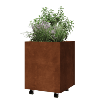 Corten terasest lillekast - Ruut - 50 x 50 x 60 cm - Põhjalauaga - Ratastega