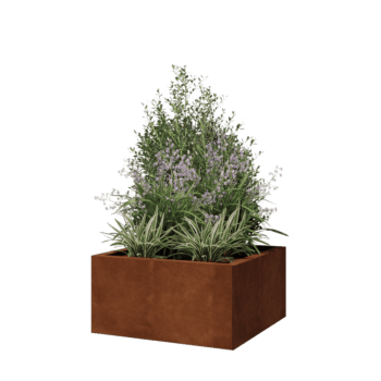 Corten terasest lillekast - Ruut - 60 x 60 x 30 cm - Ilma põhjalauata