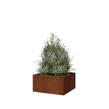 Corten terasest lillekast - Ruut - 60 x 60 x 30 cm - Ilma põhjalauata