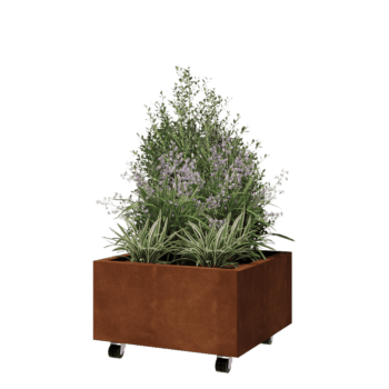 Corten terasest lillekast - Ruut - 60 x 60 x 30 cm - Põhjalauaga - Ratastega
