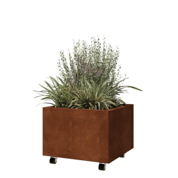 Corten terasest lillekast - Ruut - 60 x 60 x 40 cm - Põhjalauaga - Ratastega