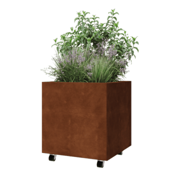 Corten terasest lillekast - Ruut - 60 x 60 x 60 cm - Põhjalauaga - Ratastega