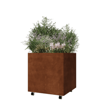 Corten terasest lillekast - Ruut - 70 x 70 x 70 cm - Põhjalauaga - Ratastega