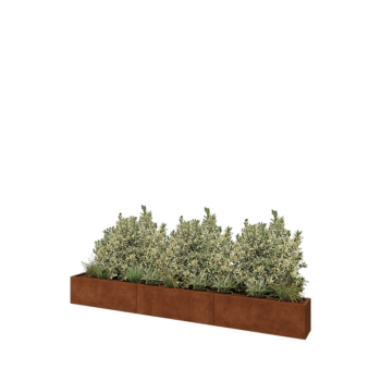 Corten terasest lillekast XXL - Ristkülik - 360 x 30 x 40 cm - Ilma põhjalauata