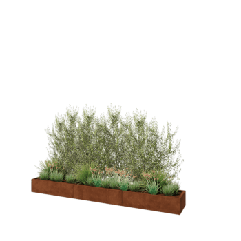 Corten terasest lillekast XXL - Ristkülik - 360 x 50 x 30 cm - Ilma põhjalauata