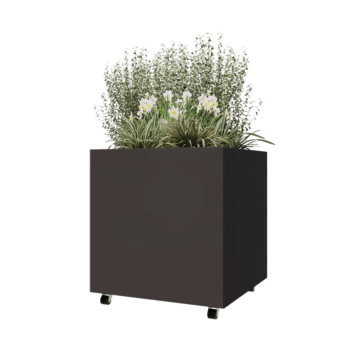 Terasest lillekast - Ruut - 80 x 80 x 80 cm - Muu RAL värv - Põhjalauaga - Ratastega