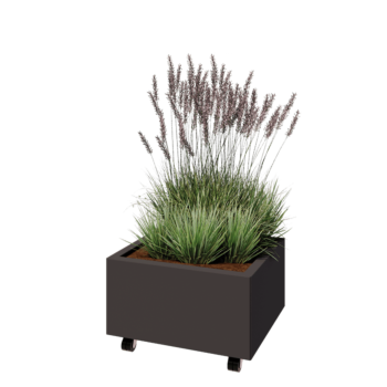 Terasest lillekast - Ristkülik - 60 x 50 x 30 cm - RAL7016 matt (antratsiithall) - Põhjalauaga - Ratastega