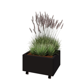 Terasest lillekast - Ristkülik - 60 x 50 x 30 cm - RAL9005 matt (must) - Põhjalauaga - Ratastega