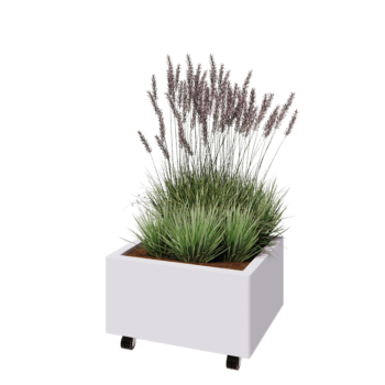 Terasest lillekast - Ristkülik - 60 x 50 x 30 cm - RAL9010 matt (valge) - Põhjalauaga - Ratastega