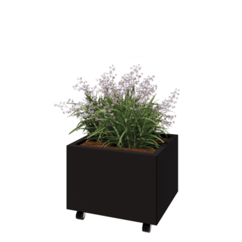 Terasest lillekast - Ristkülik - 60 x 50 x 40 cm - RAL9005 matt (must) - Põhjalauaga - Ratastega