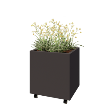 Terasest lillekast - Ristkülik - 60 x 50 x 60 cm - Muu RAL värv - Põhjalauaga - Ratastega