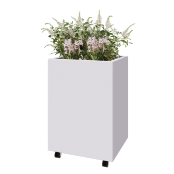 Terasest lillekast - Ristkülik - 60 x 50 x 80 cm - RAL9010 matt (valge) - Põhjalauaga - Ratastega
