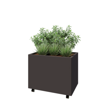 Terasest lillekast - Ristkülik - 80 x 50 x 60 cm - RAL7016 matt (antratsiithall) - Põhjalauaga - Ratastega