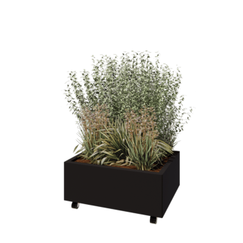 Terasest lillekast - Ristkülik - 80 x 60 x 30 cm - RAL9005 matt (must) - Põhjalauaga - Ratastega