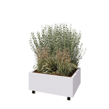 Terasest lillekast - Ristkülik - 80 x 60 x 30 cm - RAL9010 matt (valge) - Põhjalauaga - Ratastega