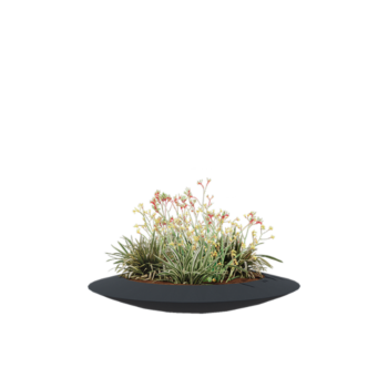 klaaskiudne lillekast - Kauss - Ø 120 x 20 cm - RAL7021 matt (must hall) - Põhjaga