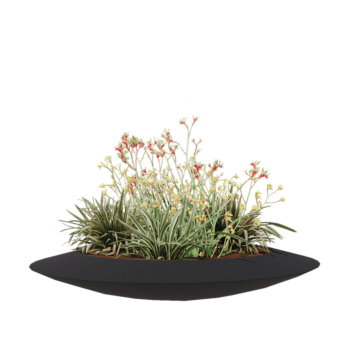 klaaskiudne lillekast - Kauss - Ø 120 x 20 cm - RAL7021 matt (must hall) - Põhjaga