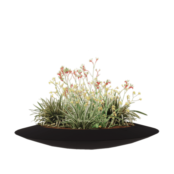 klaaskiudne lillekast - Kauss - Ø 120 x 20 cm - RAL9005 matt (must) - Põhjaga