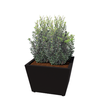Terasest lillekast - Koonus - 80 x 80 x 51,5 cm - Keevitatud - RAL9005 matt (must) - Põhjalauaga