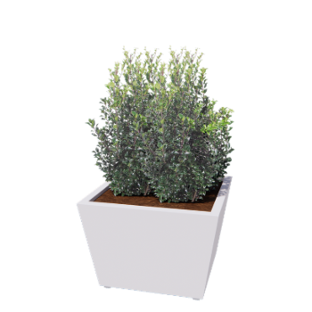 Terasest lillekast - Koonus - 80 x 80 x 51,5 cm - Keevitatud - RAL9010 matt (valge) - Põhjalauaga