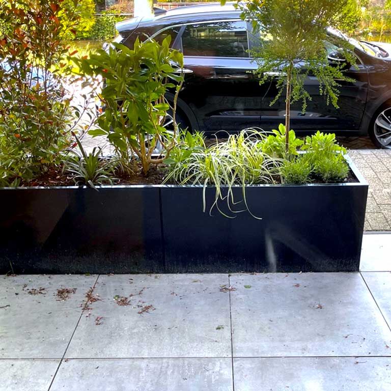 Pulbervärvitud terasest lillekast Texas xxl 240 x 50 cm