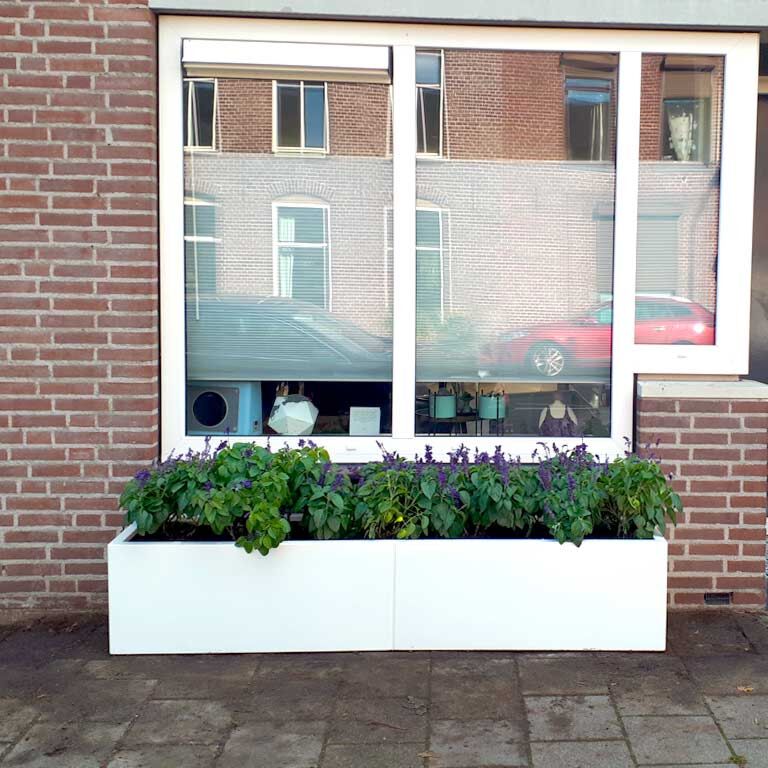 Pulbervärvitud terasest lillekast Texas xxl 200 x 40 cm