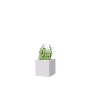 Terasest lillekast - Ruut - 30 x 30 x 30 cm - RAL9010 matt (valge) - Ilma põhjalauata