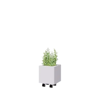 Terasest lillekast - Ruut - 30 x 30 x 30 cm - RAL9010 matt (valge) - Põhjalauaga - Ratastega