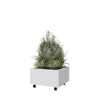 Terasest lillekast - Ruut - 60 x 60 x 30 cm - RAL9010 matt (valge) - Põhjalauaga - Ratastega