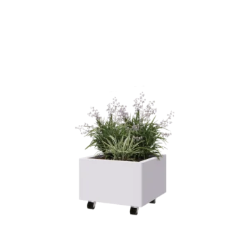 Terasest lillekast - Ruut - 50 x 50 x 30 cm - RAL9010 matt (valge) - Põhjalauaga - Ratastega