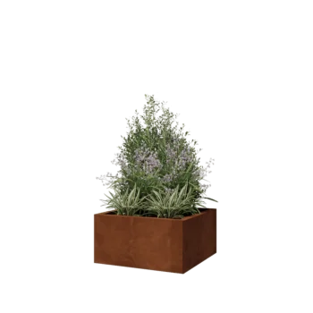 Corten terasest lillekast - Ruut - 60 x 60 x 30 cm - Ilma põhjalauata