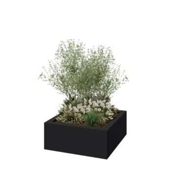 klaaskiudne lillekast - Ruut - 100 x 100 x 40 cm - RAL7021 matt (must hall) - Põhjaga
