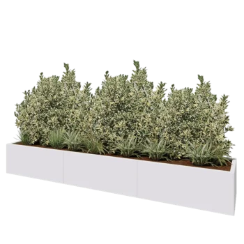 Terasest lillekast XXL - Ristkülik - 300 x 50 x 40 cm - RAL9010 matt (valge) - Põhjalauaga