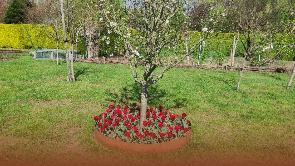 Kuidas teha puu ümber piirdet?