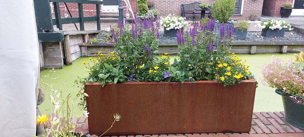 Suured ristkülikukujulised taimede potid aia jaoks